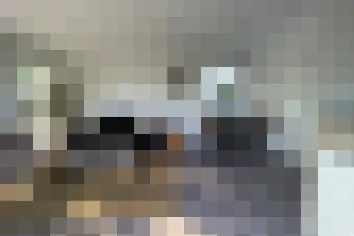 Haaijse Bos 39 Ouddorp thumbnail 8