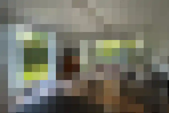 Haaijse Bos 39 Ouddorp thumbnail 9