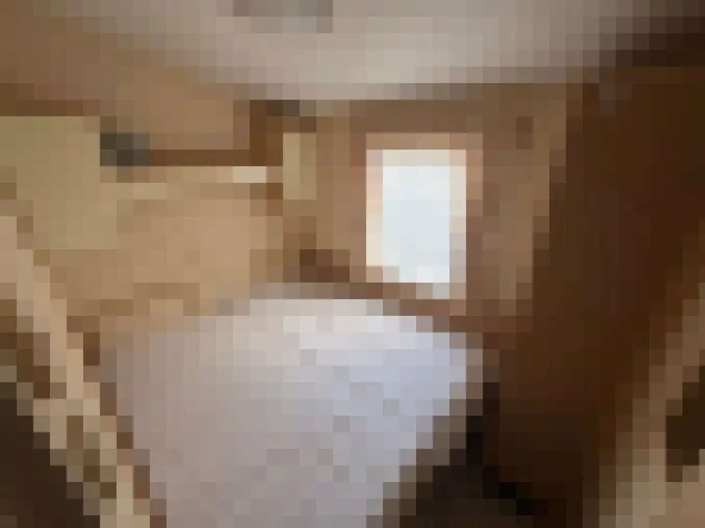 Haaijse Bos 42 Ouddorp thumbnail 10