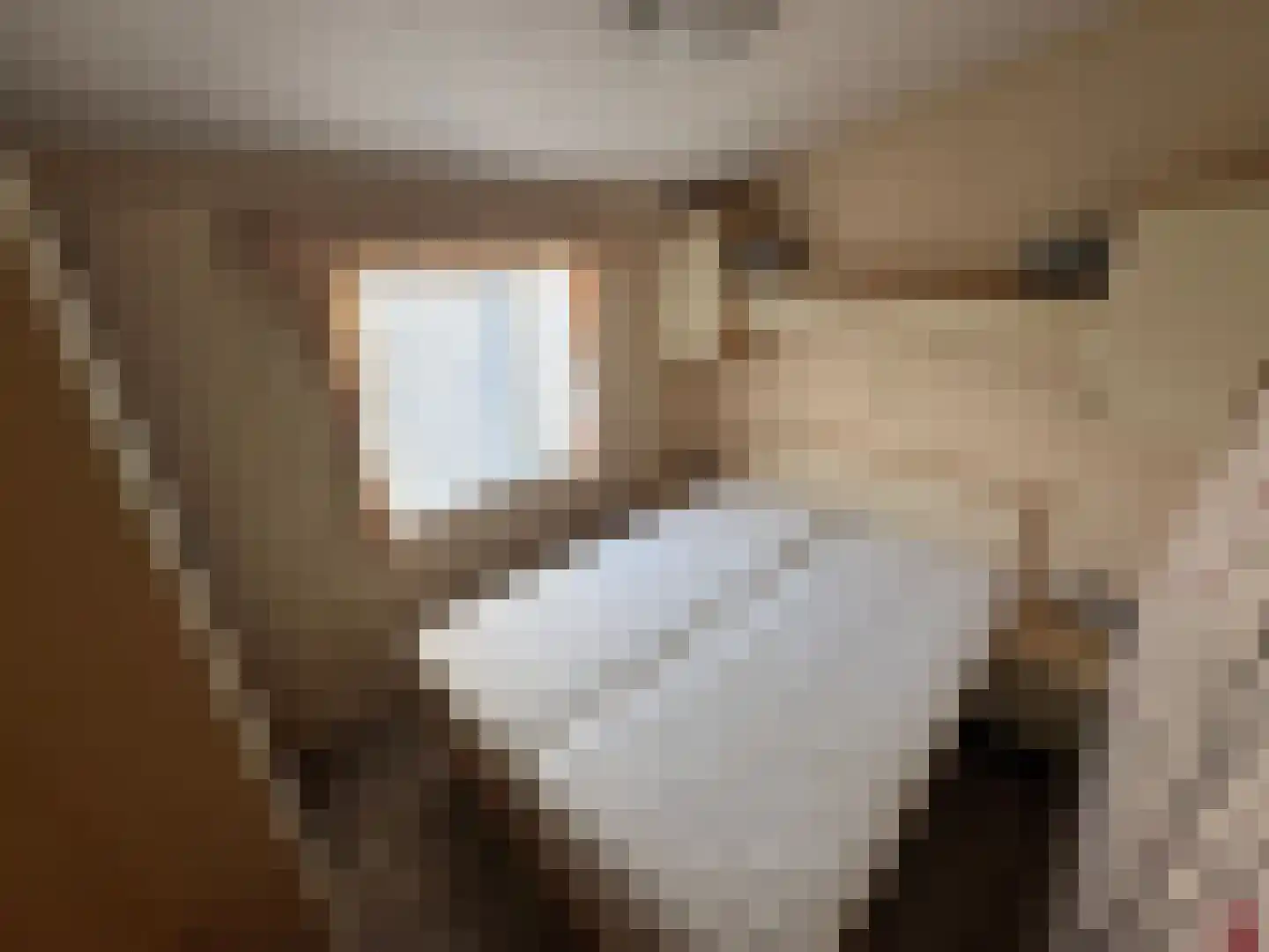 Haaijse Bos 42 Ouddorp thumbnail 11