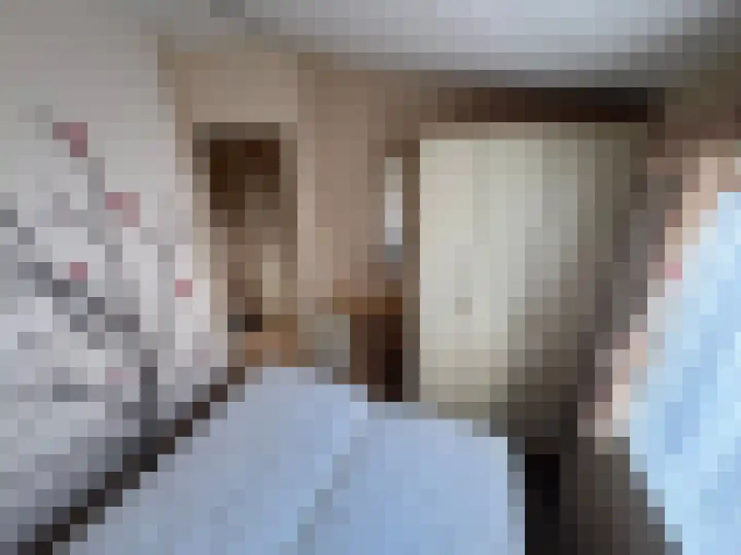 Haaijse Bos 42 Ouddorp thumbnail 12