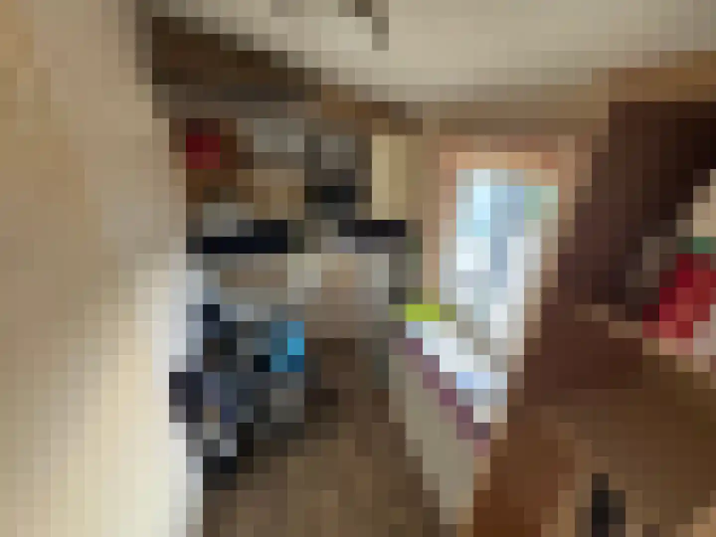 Haaijse Bos 42 Ouddorp thumbnail 13