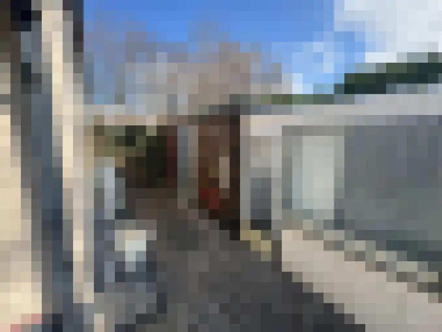 Haaijse Bos 42 Ouddorp thumbnail 19