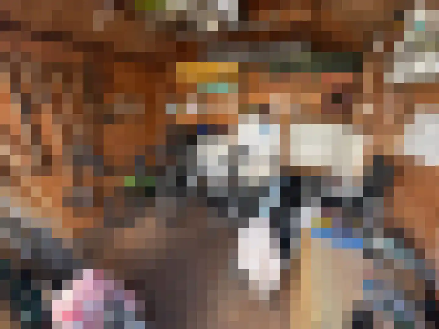 Haaijse Bos 42 Ouddorp thumbnail 20