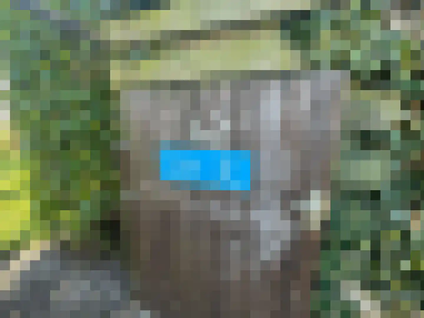 Haaijse Bos 42 Ouddorp thumbnail 22