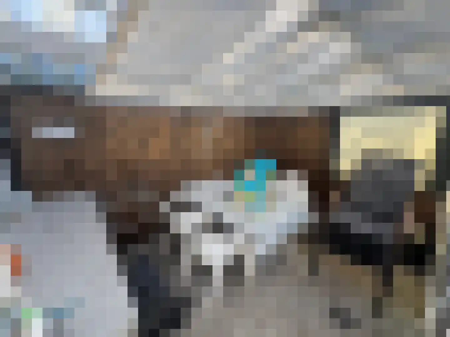 Haaijse Bos 42 Ouddorp thumbnail 24