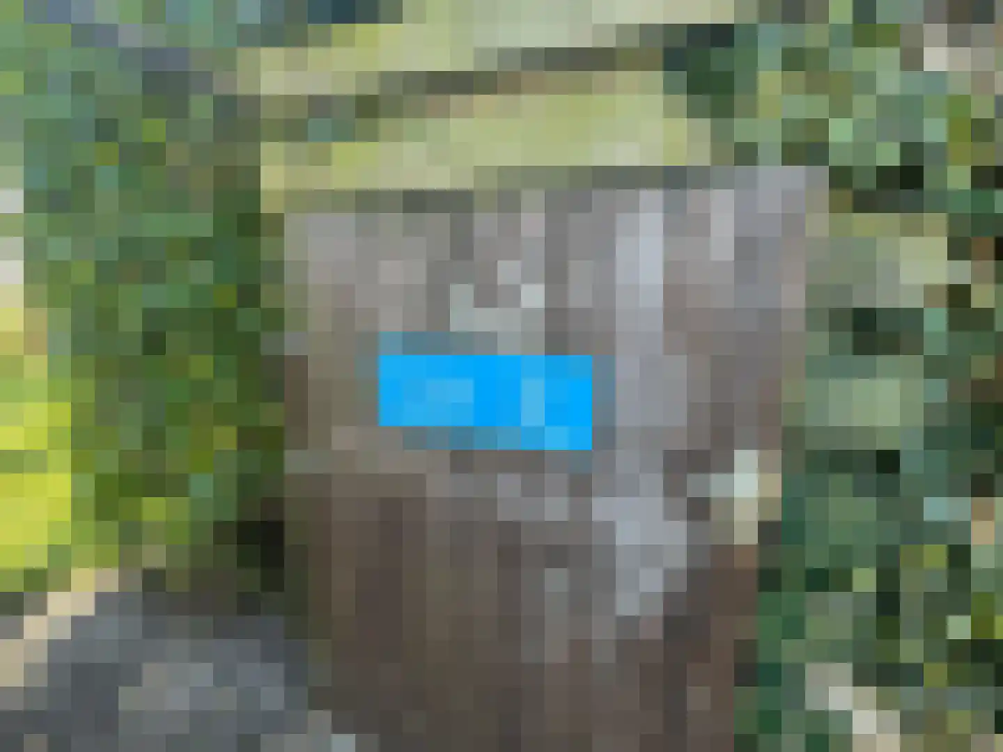 Haaijse Bos 42 Ouddorp thumbnail 25