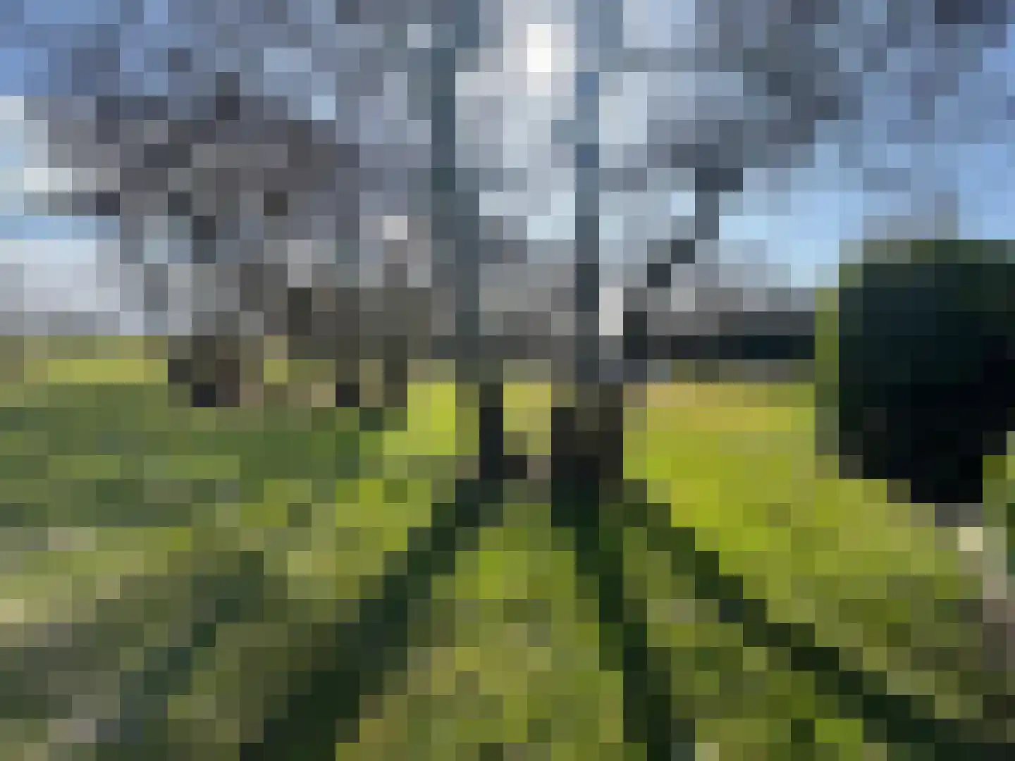 Haaijse Bos 42 Ouddorp thumbnail 26
