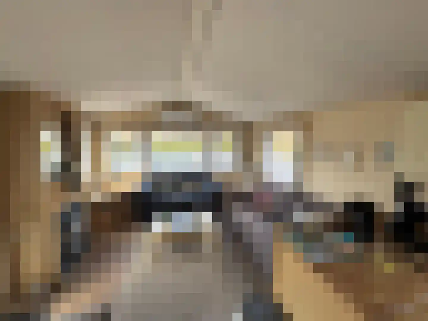 Haaijse Bos 42 Ouddorp thumbnail 5
