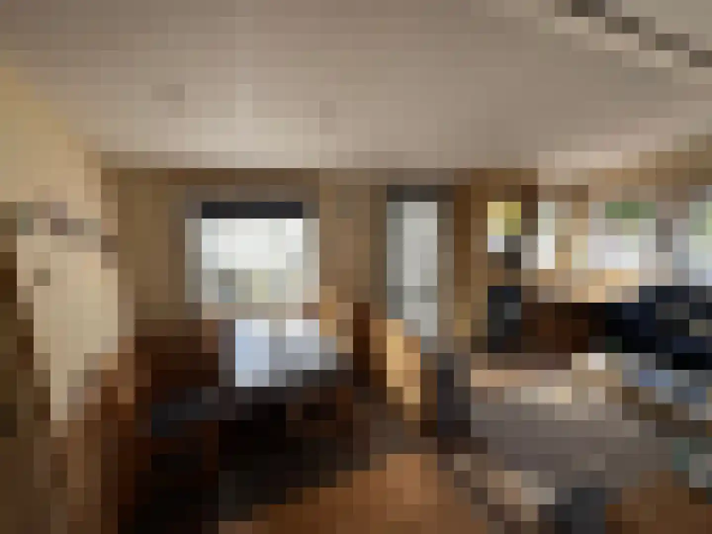 Haaijse Bos 42 Ouddorp thumbnail 6