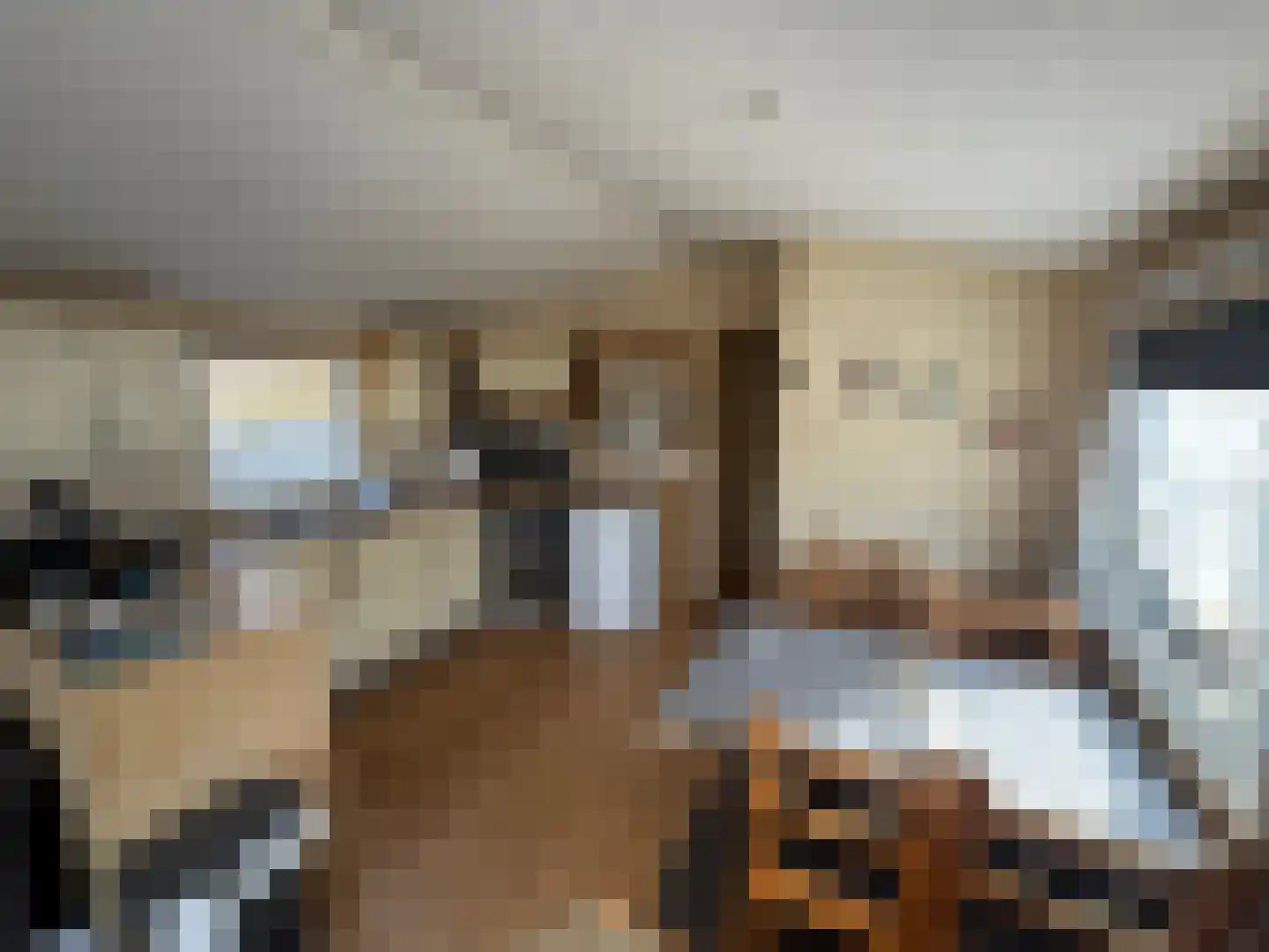 Haaijse Bos 42 Ouddorp thumbnail 7