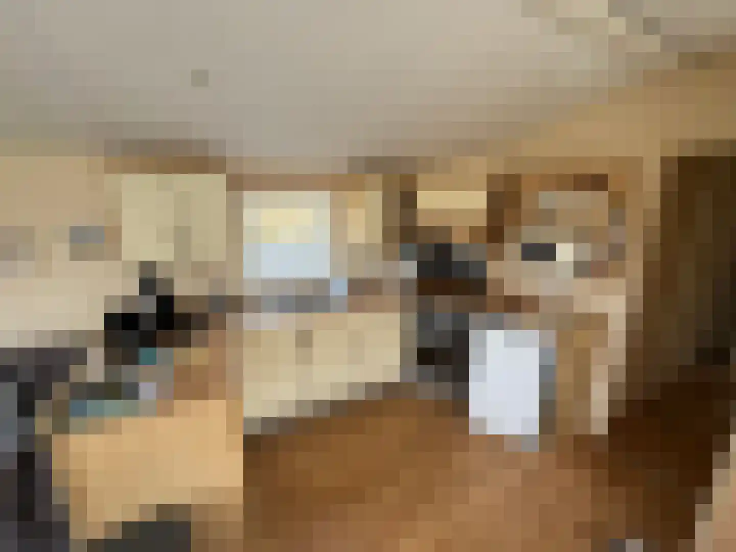 Haaijse Bos 42 Ouddorp thumbnail 8