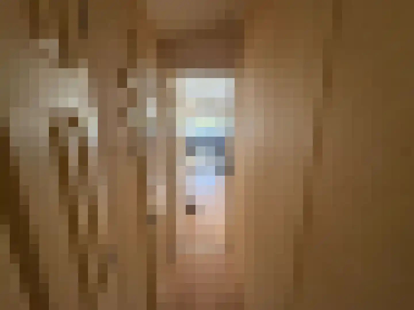 Haaijse Bos 42 Ouddorp thumbnail 9