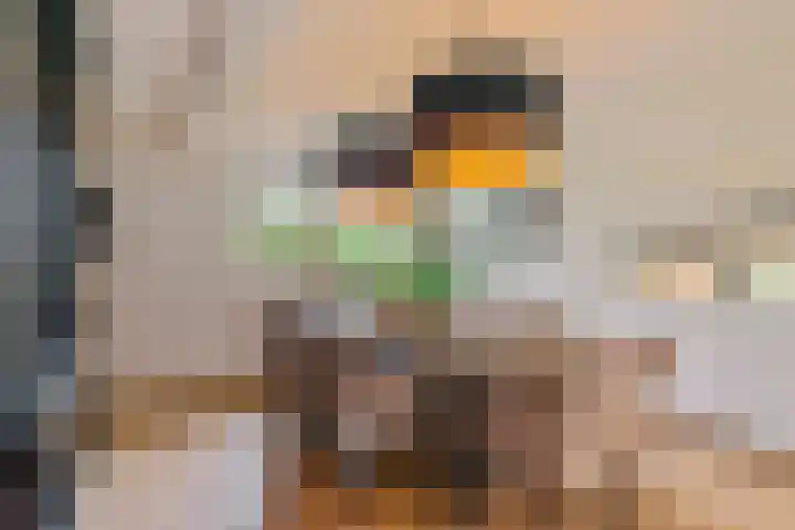 Haakakker 7 Mierlo thumbnail 12