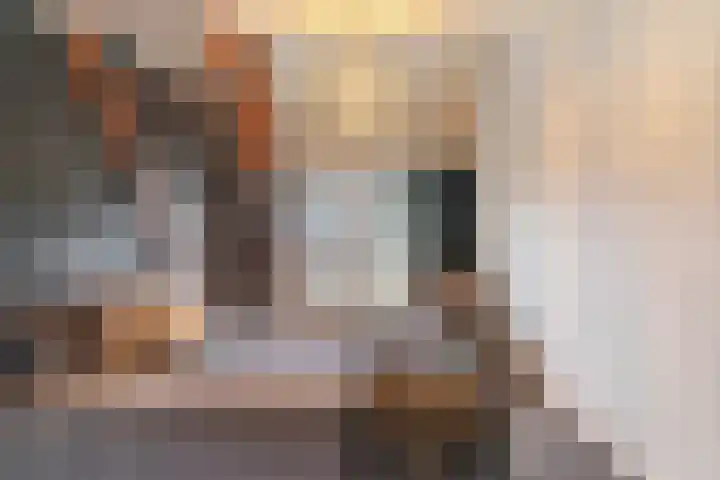 Haakakker 7 Mierlo thumbnail 23