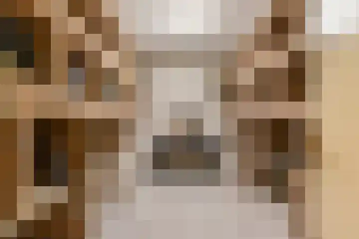 Haakakker 7 Mierlo thumbnail 29