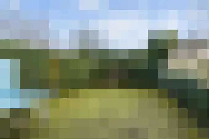 Haakakker 7 Mierlo thumbnail 37