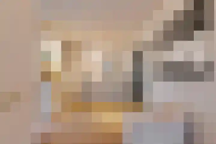 Haakakker 7 Mierlo thumbnail 6