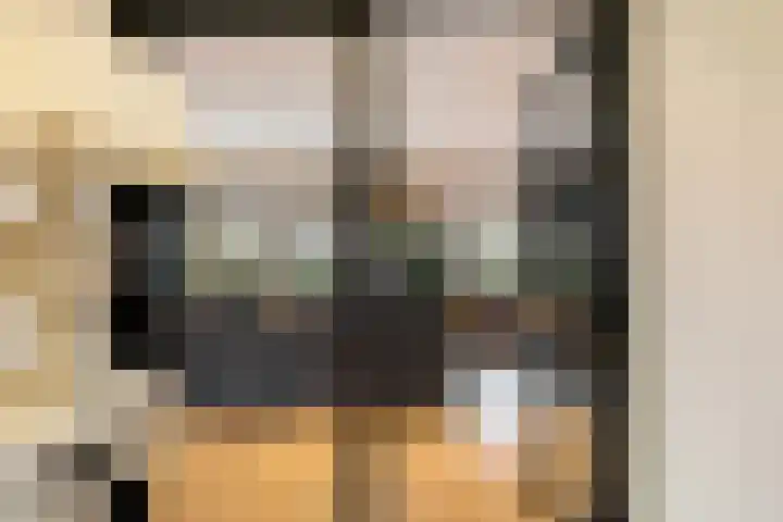 Haakakker 7 Mierlo thumbnail 7