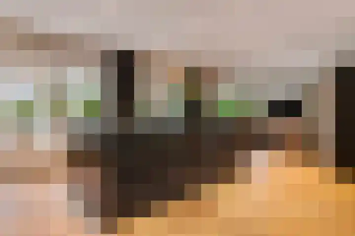 Haakakker 7 Mierlo thumbnail 8