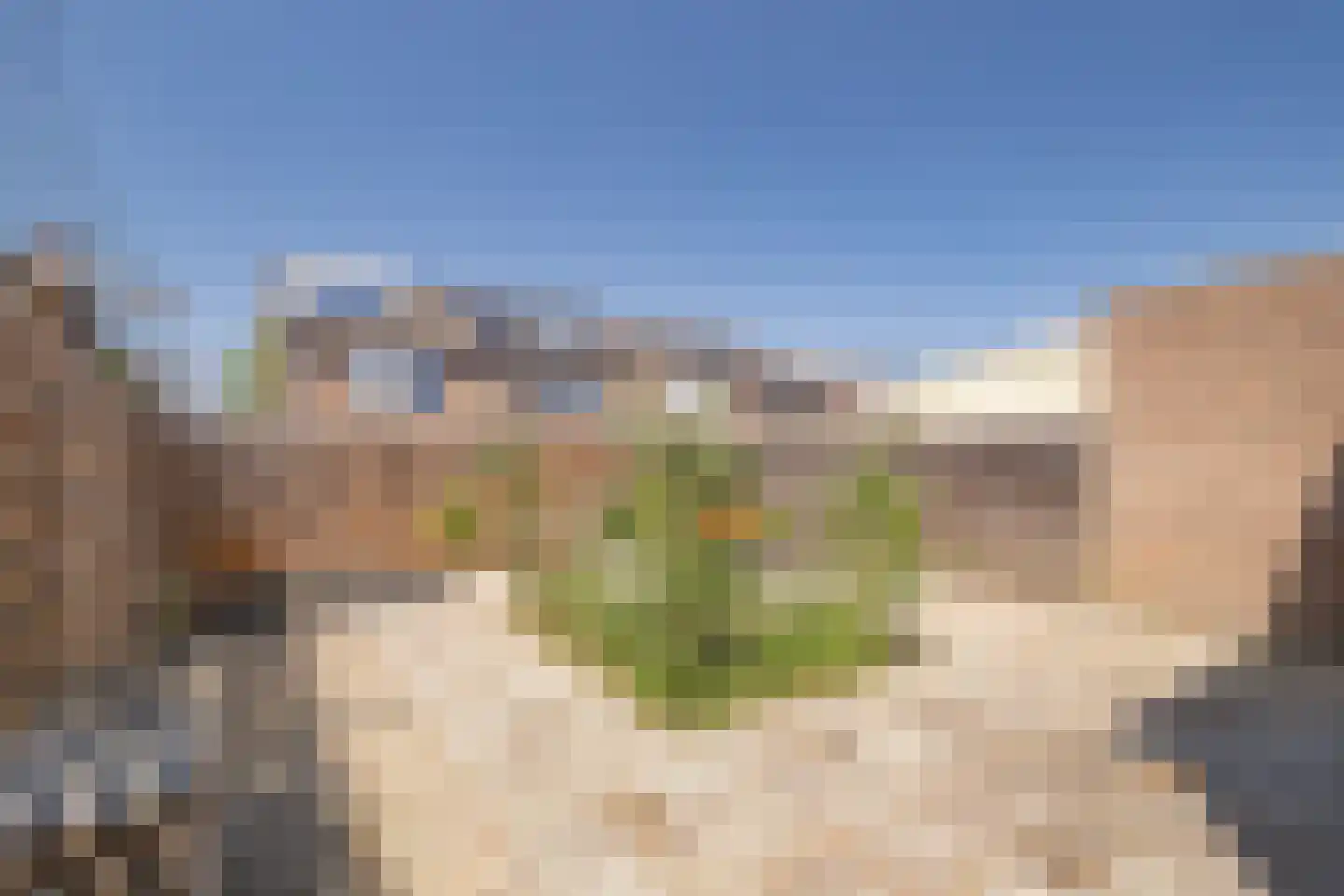 Haakbusruwe 24 Maastricht thumbnail 14