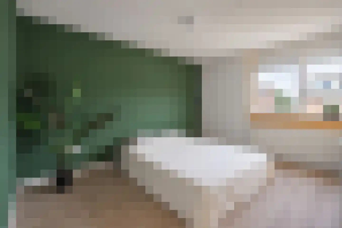 Haakbusruwe 24 Maastricht thumbnail 9