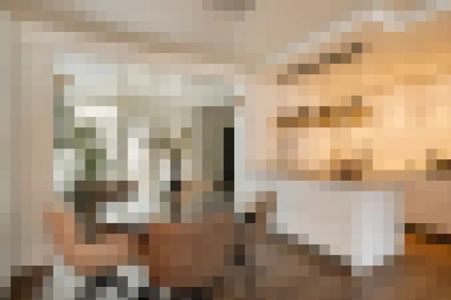Haakbusruwe 8 Maastricht thumbnail 11