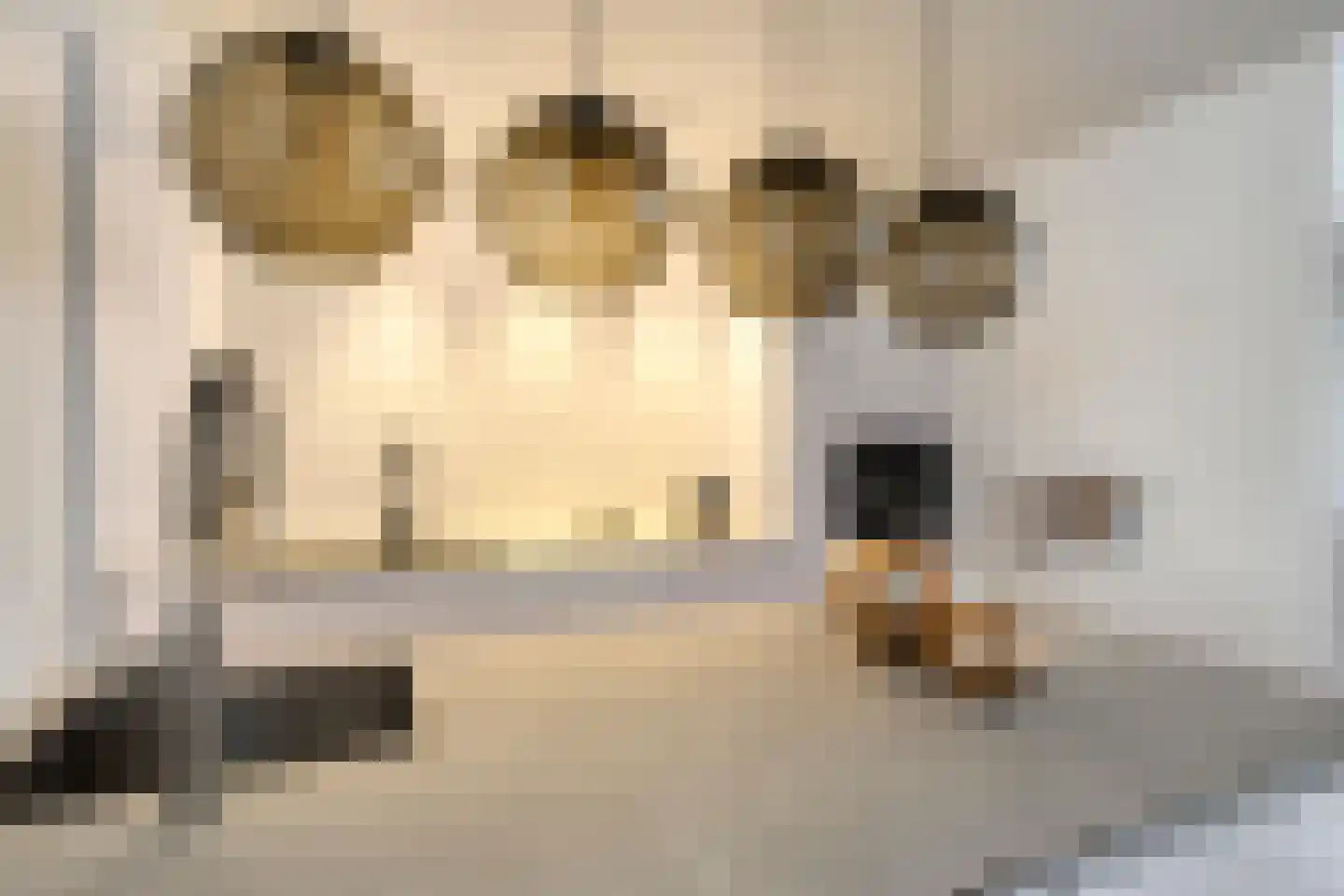 Haakbusruwe 8 Maastricht thumbnail 14