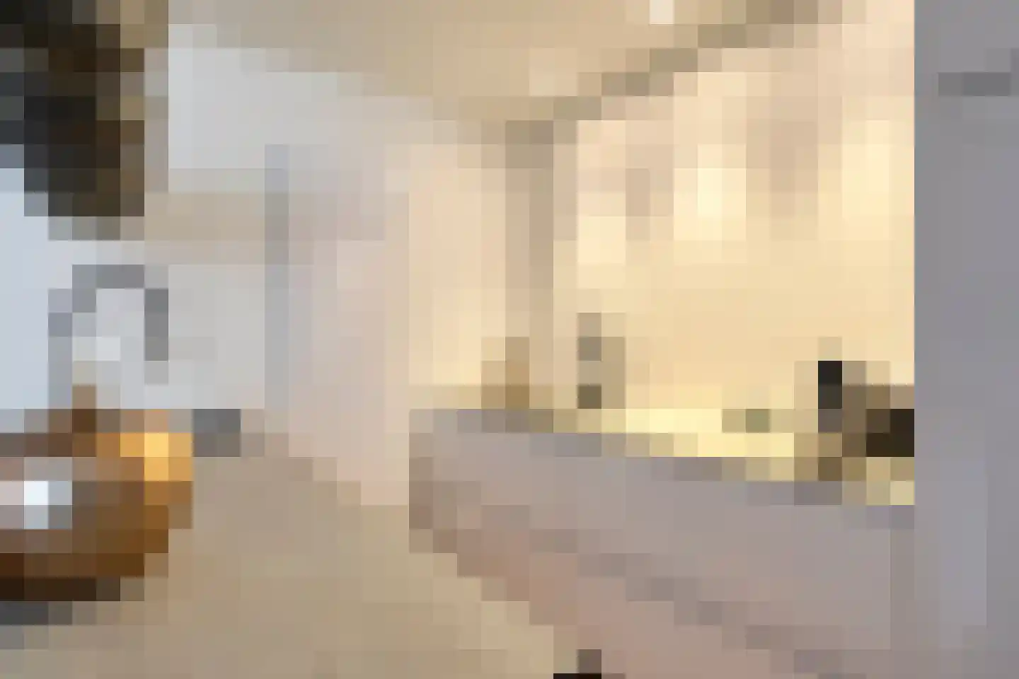 Haakbusruwe 8 Maastricht thumbnail 15