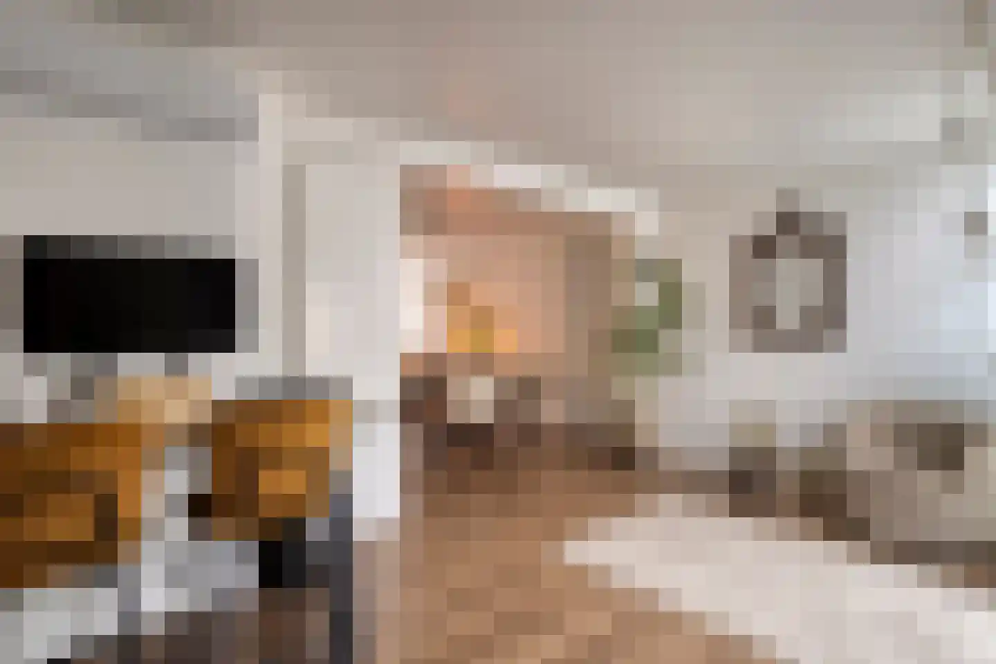 Haakbusruwe 8 Maastricht thumbnail 18