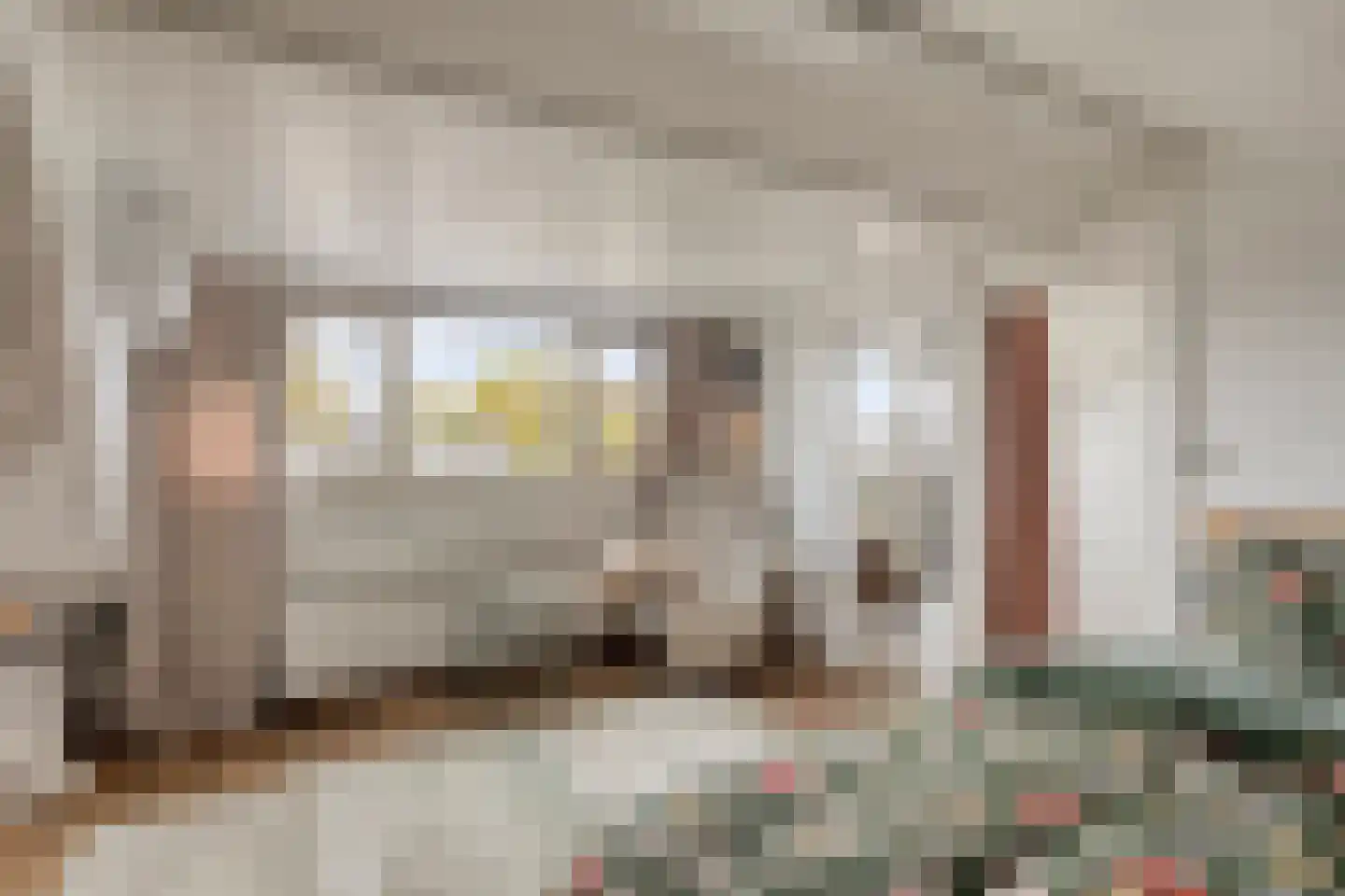 Haakbusruwe 8 Maastricht thumbnail 31