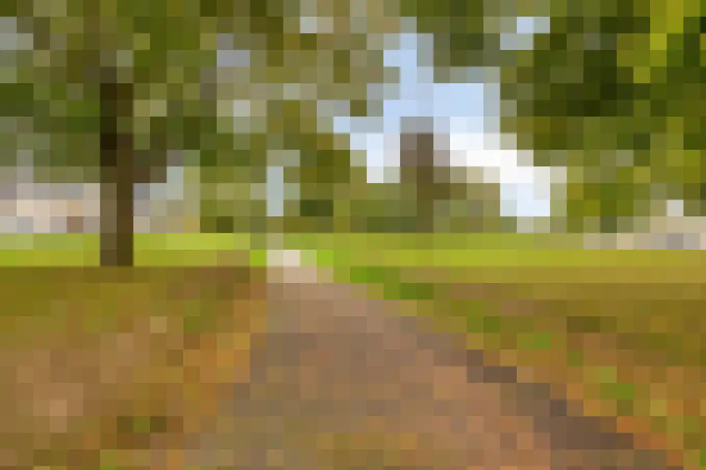 Haakbusruwe 8 Maastricht thumbnail 39