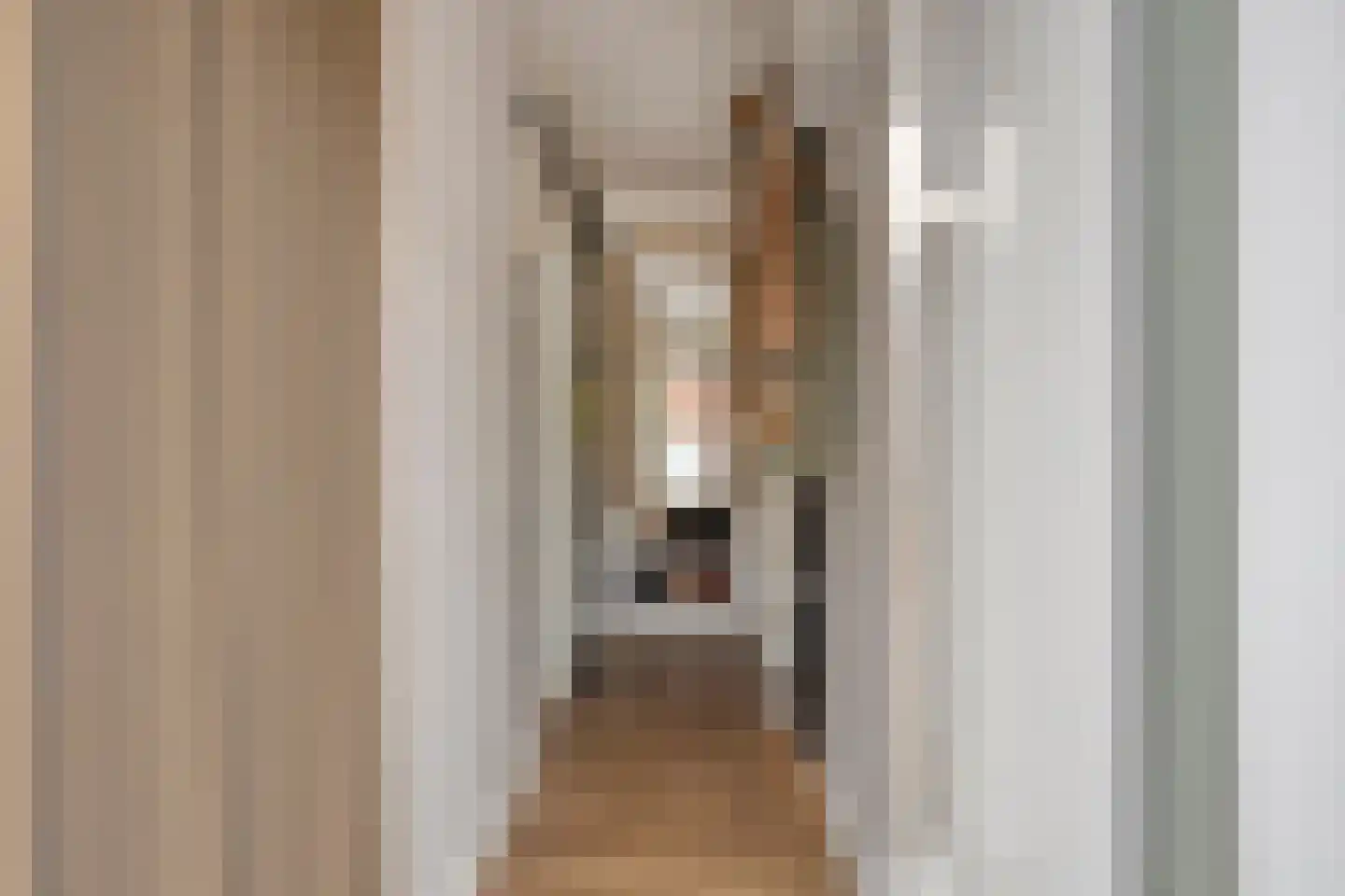 Haakbusruwe 8 Maastricht thumbnail 5