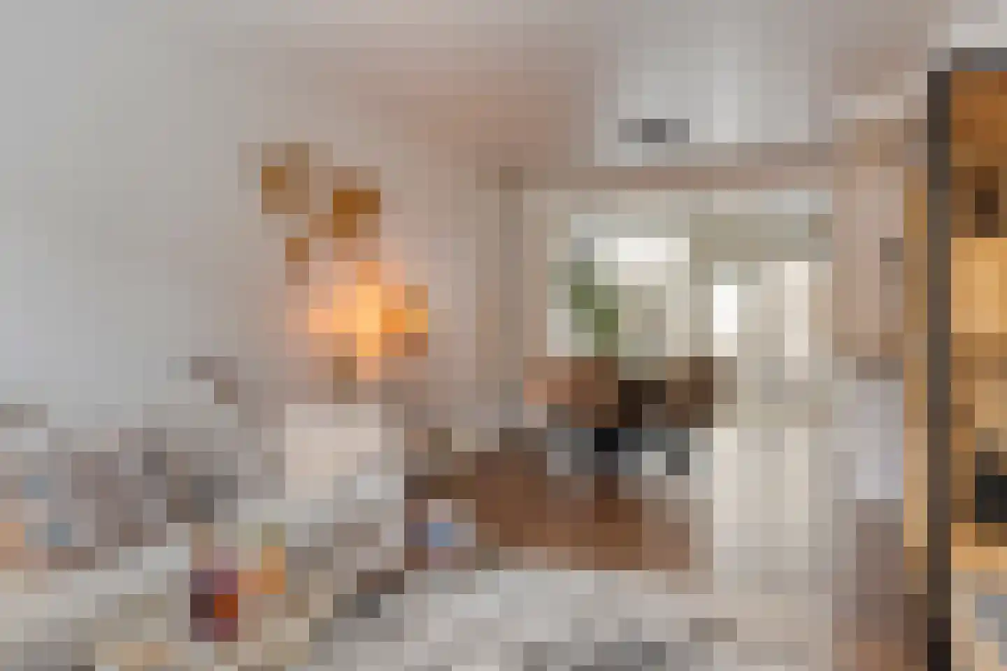 Haakbusruwe 8 Maastricht thumbnail 8