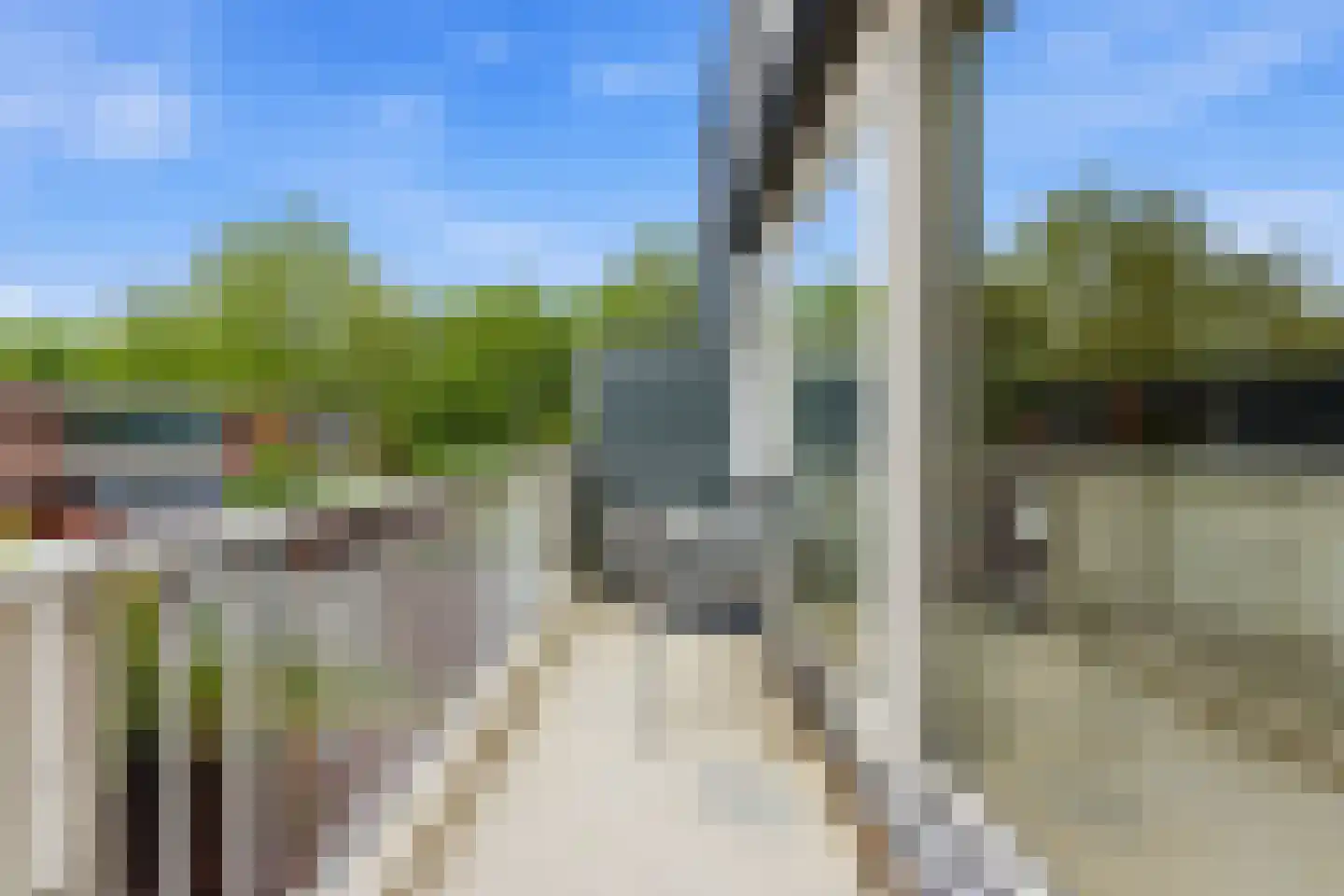Haakdistel 23 Rotterdam thumbnail 11