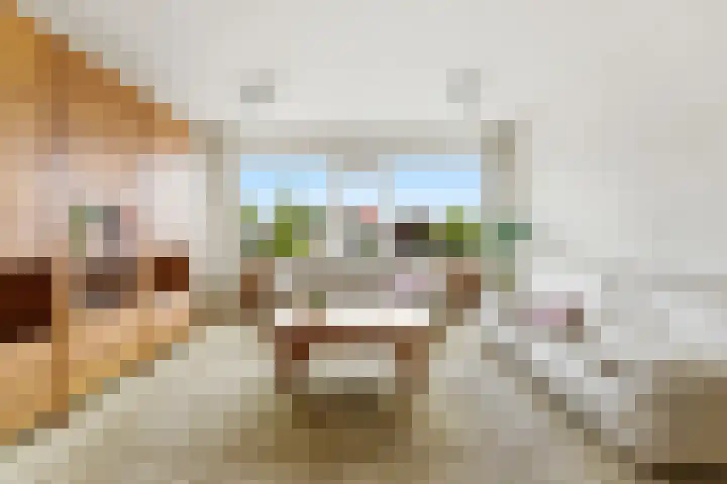 Haakdistel 23 Rotterdam thumbnail 4