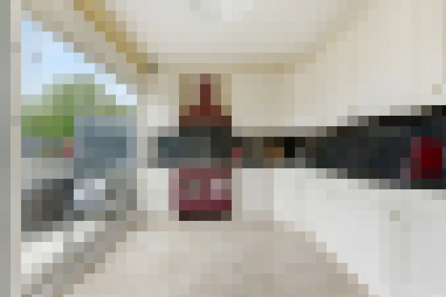 Haakdistel 23 Rotterdam thumbnail 8