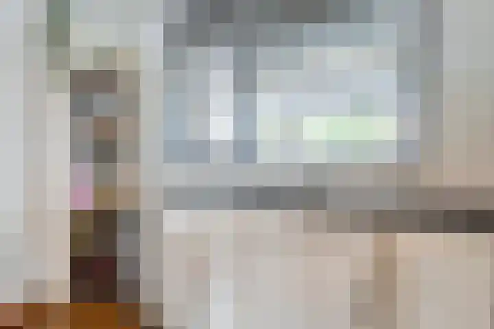 Haakmos 17 Zwolle thumbnail 11