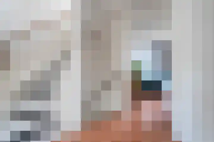Haakmos 17 Zwolle thumbnail 12