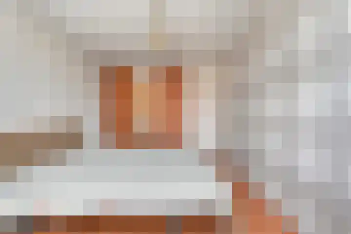 Haakmos 17 Zwolle thumbnail 13