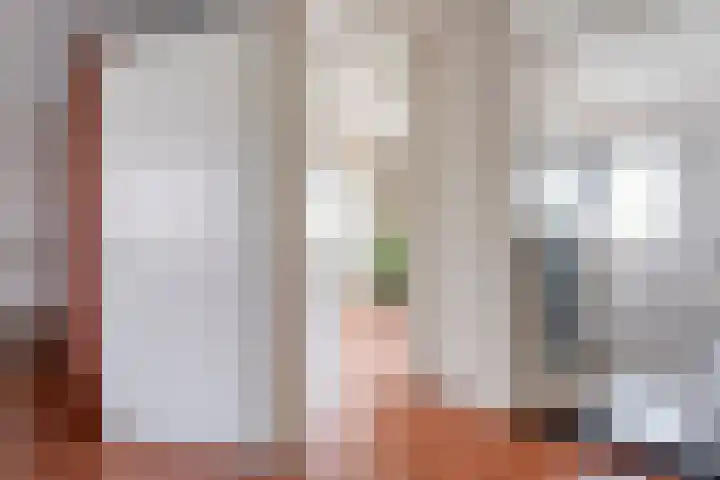 Haakmos 17 Zwolle thumbnail 14