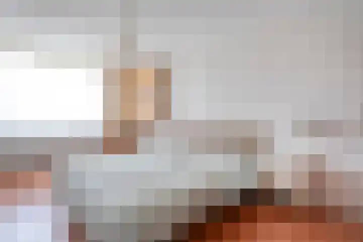 Haakmos 17 Zwolle thumbnail 15