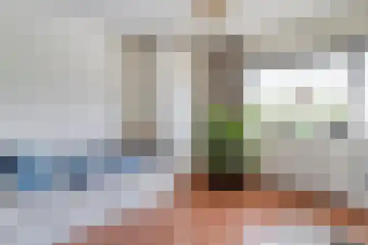 Haakmos 17 Zwolle thumbnail 18