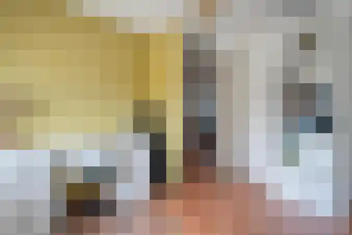 Haakmos 17 Zwolle thumbnail 19