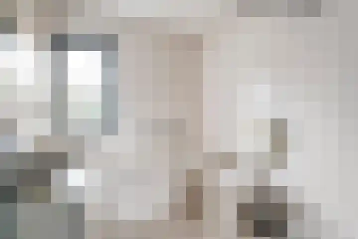 Haakmos 17 Zwolle thumbnail 20