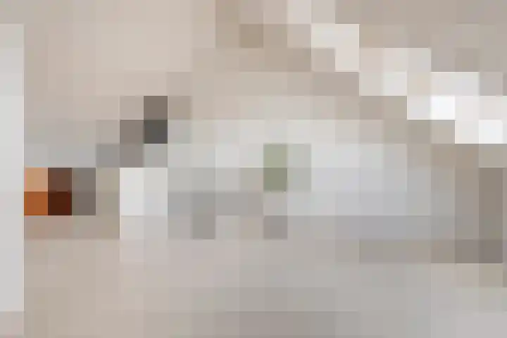 Haakmos 17 Zwolle thumbnail 22