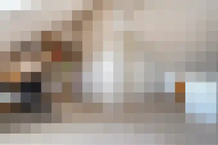Haakmos 17 Zwolle thumbnail 23