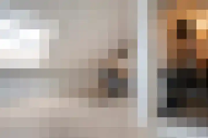 Haakmos 17 Zwolle thumbnail 24