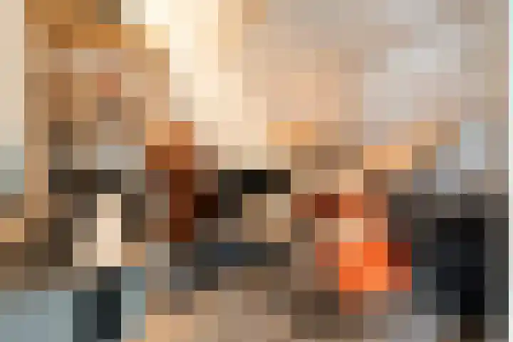 Haakmos 17 Zwolle thumbnail 25