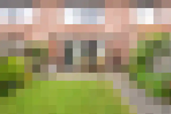 Haakmos 17 Zwolle thumbnail 26